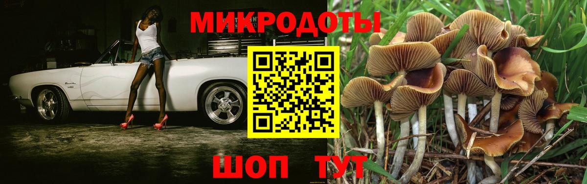 Галлюциногенные грибы ЛСД  Вход с VPN  Среднеуральск  Галлюциногенные грибы Magic Shrooms 