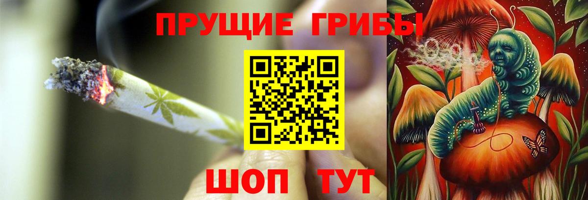 Псилоцибиновые грибы Cubensis Среднеуральск